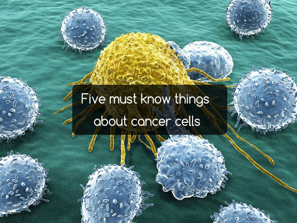Five must know things about cancer cells
